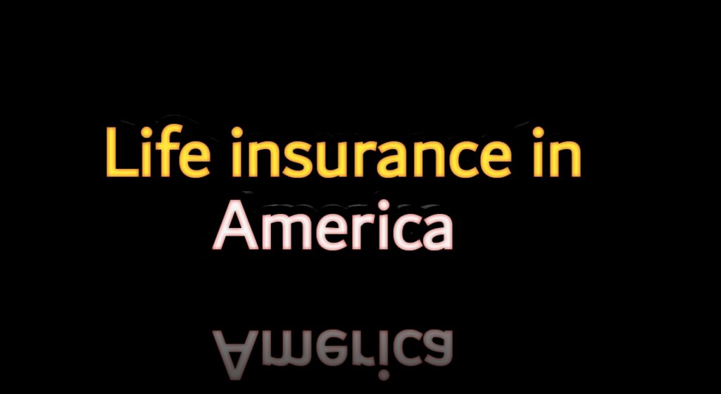 Life insurance in America 