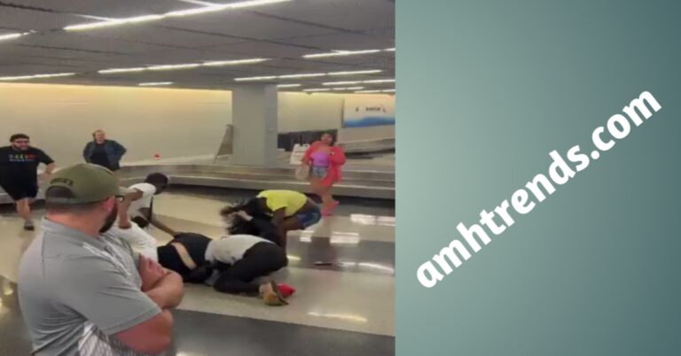 Two travelers arrested after wild brawl at Chicago  Airport