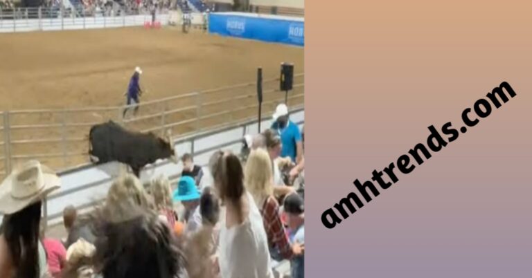 Escaped bull charges into dancing crowd